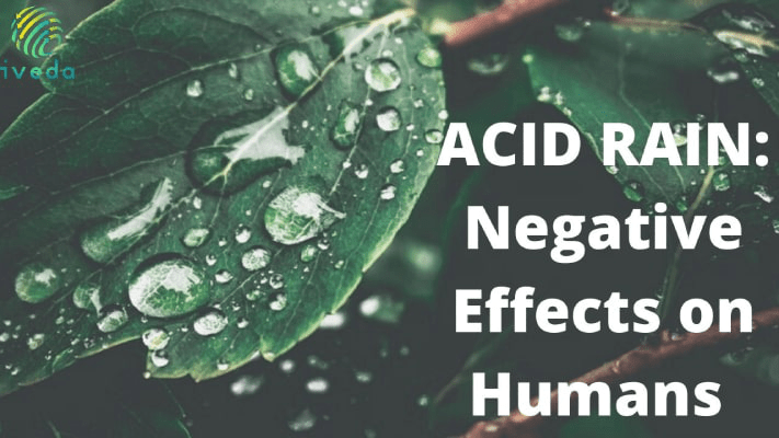 harmful effects of acid rain